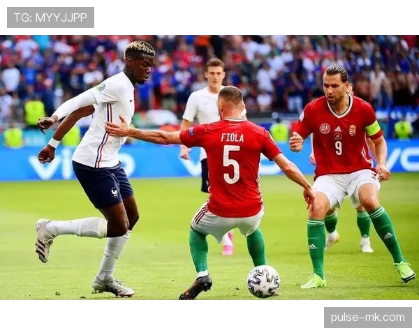 匈牙利球迷红白绿持续提升:激情与荣耀在赛场上交融,展现坚定支持 匈牙利球迷红白绿持续提升:激情与荣耀在赛场上交融,展现坚定支持