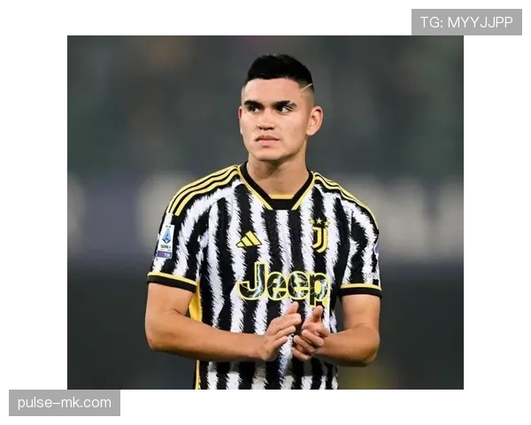 南安普顿中场结构 南安普顿中场结构